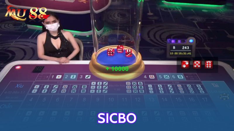 Sicbo là game quen mặt với nhiều game thủ